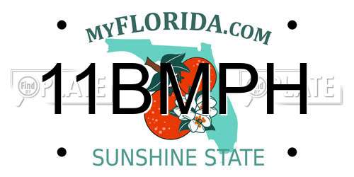 11BMPH Florida License Plate