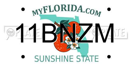 11BNZM Florida License Plate