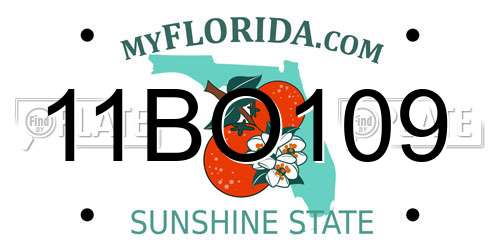 11BO109 Florida License Plate