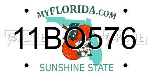 11BO576 Florida License Plate