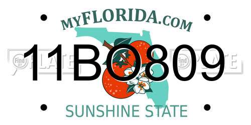 11BO809 Florida License Plate