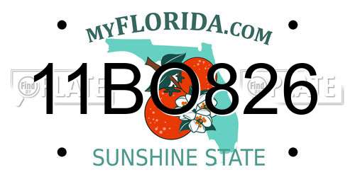 11BO826 Florida License Plate