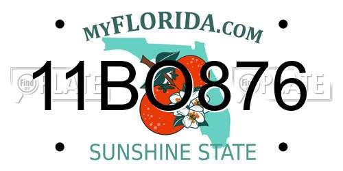 11BO876 Florida License Plate