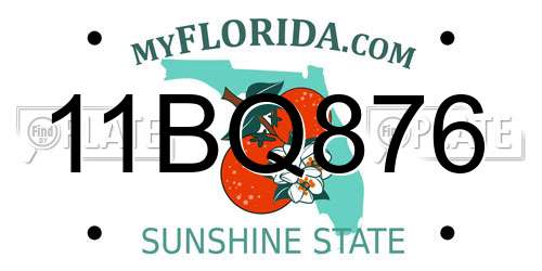 11BQ876 Florida License Plate