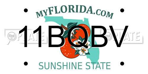 11BQBV Florida License Plate