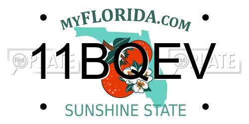 11BQEV Florida License Plate