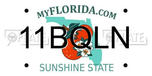 11BQLN Florida License Plate