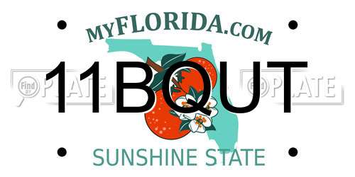 11BQUT Florida License Plate