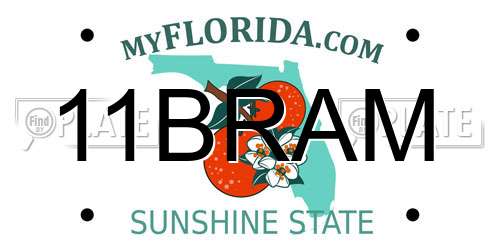 11BRAM Florida License Plate