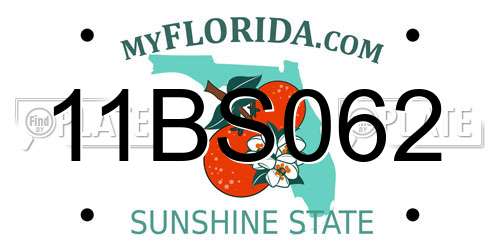 11BS062 Florida License Plate