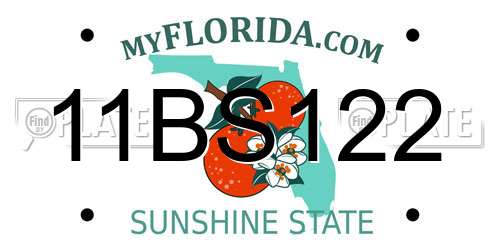 11BS122 Florida License Plate
