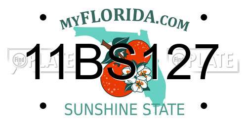 11BS127 Florida License Plate