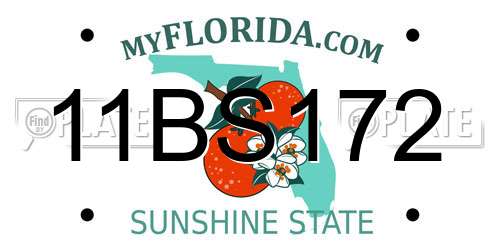 11BS172 Florida License Plate