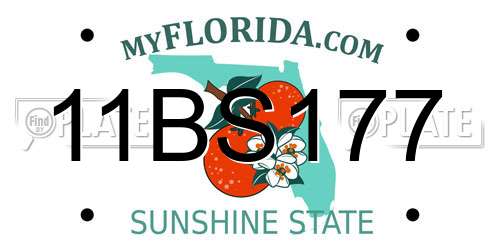 11BS177 Florida License Plate