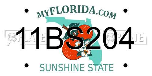 11BS204 Florida License Plate