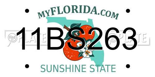 11BS263 Florida License Plate