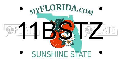 11BSTZ Florida License Plate