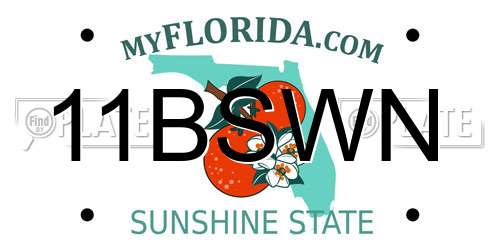 11BSWN Florida License Plate