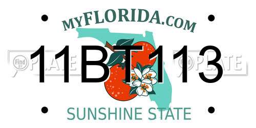 11BT113 Florida License Plate