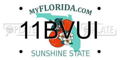 11BVUI Florida License Plate
