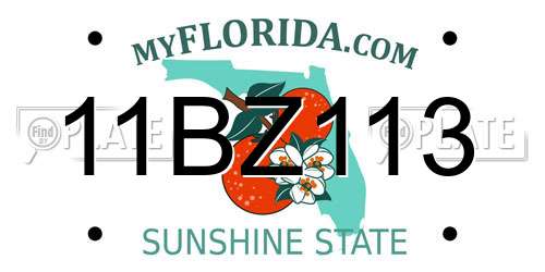 11BZ113 Florida License Plate