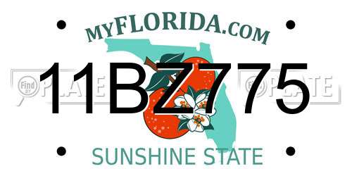 11BZ775 Florida License Plate