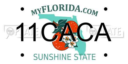 11CACA Florida License Plate