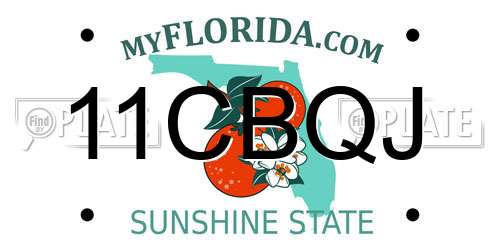 11CBQJ Florida License Plate