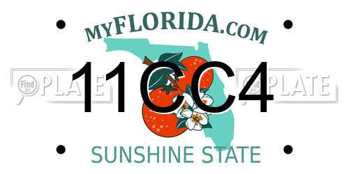 11CC4 Florida License Plate