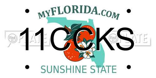 11CCKS Florida License Plate