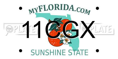 11CGX Florida License Plate