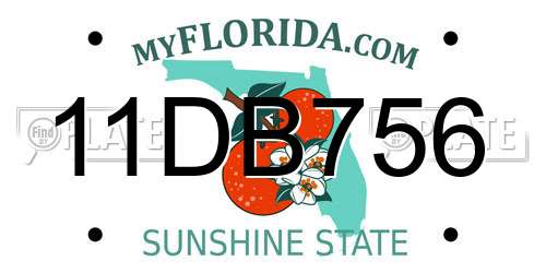 11DB756 Florida License Plate