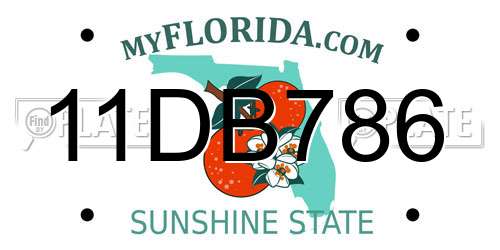 11DB786 Florida License Plate
