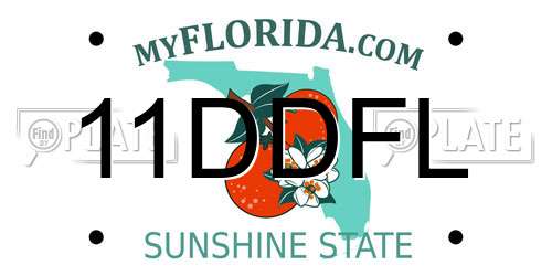 11DDFL Florida License Plate