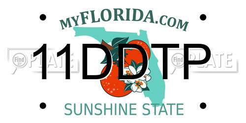 11DDTP Florida License Plate