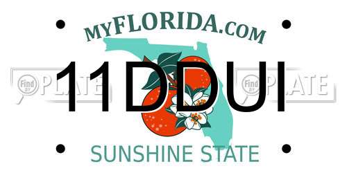 11DDUI Florida License Plate