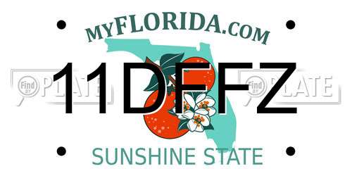 11DFFZ Florida License Plate