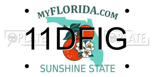11DFIG Florida License Plate