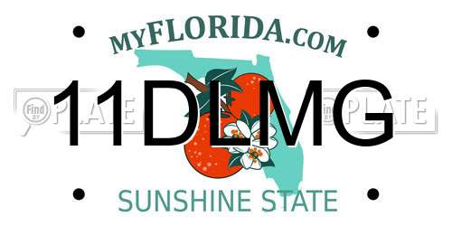11DLMG Florida License Plate