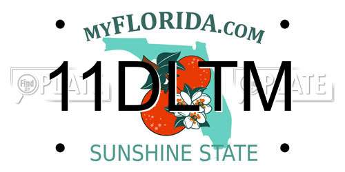 11DLTM Florida License Plate