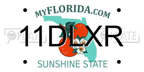 11DLXR Florida License Plate