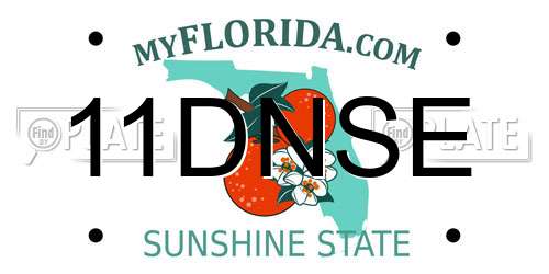11DNSE Florida License Plate