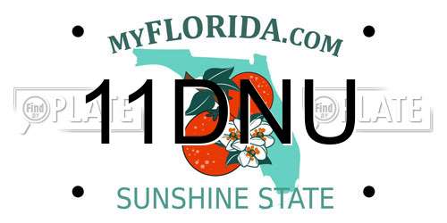 11DNU Florida License Plate