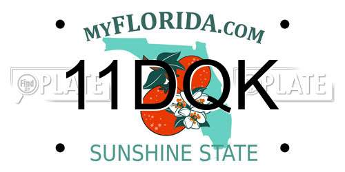 11DQK Florida License Plate