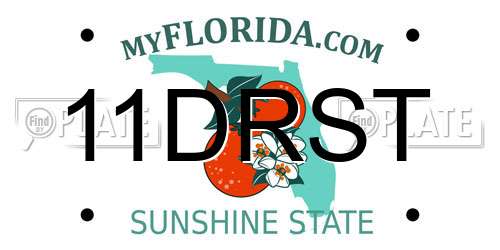 11DRST Florida License Plate