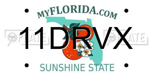 11DRVX Florida License Plate