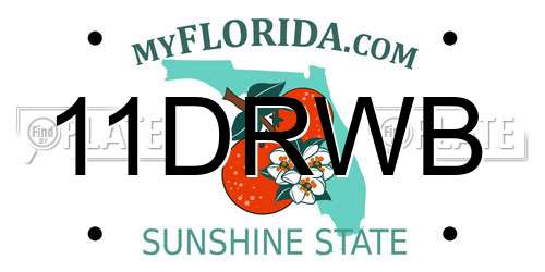 11DRWB Florida License Plate