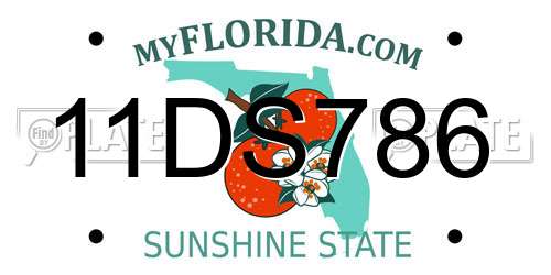 11DS786 Florida License Plate
