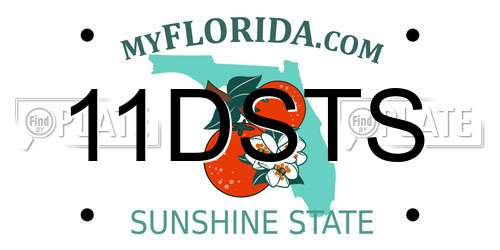 11DSTS Florida License Plate