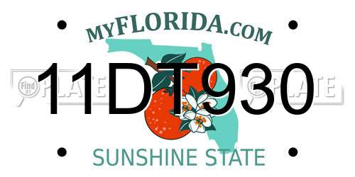 11DT930 Florida License Plate